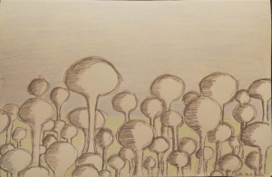 2020 Bubbles in a field (21 x 14 cm, Buntstift auf Papier)